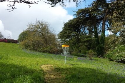 Flyers Disc Golf